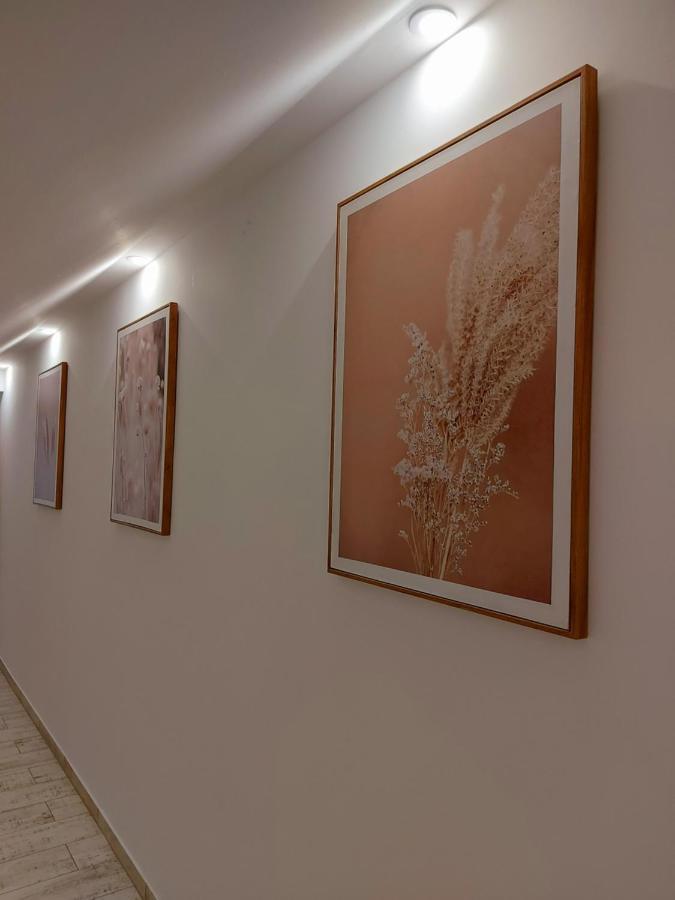 Hotel Akacos Tanya Es Vendeghaz Marok Exteriér fotografie
