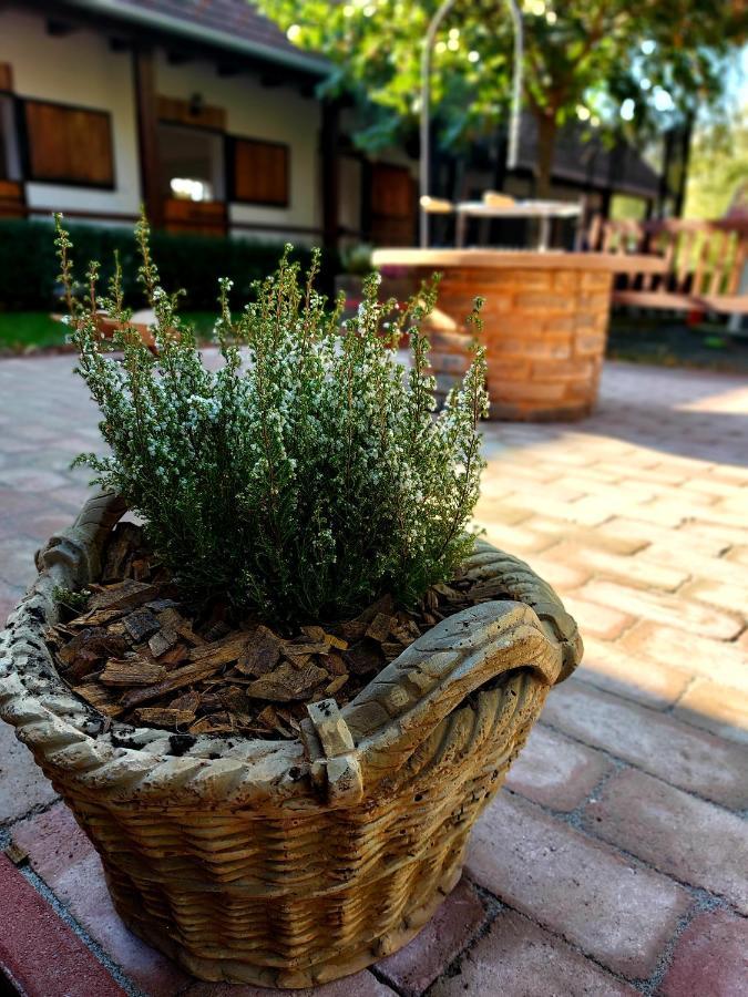 Hotel Akacos Tanya Es Vendeghaz Marok Exteriér fotografie